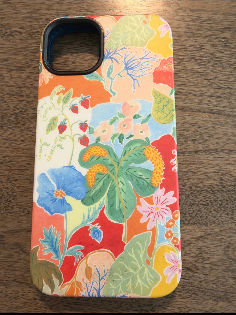 iPhone 14 Plus case